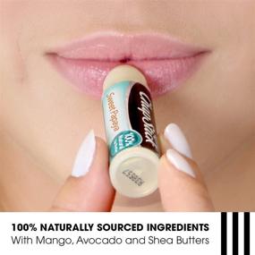 img 2 attached to 🍍 ChapStick Papaya Lip Butter Tube - 100% Natural Lip Balm - 0.15 Oz: Buy now!