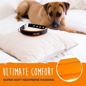 img 2 attached to Mighty Paw Ultra Soft Dog Collar with Neoprene Lining - Padded Comfort, Reflective Threading, Weatherproof Nylon - Fits Small, Medium, and Large Breeds