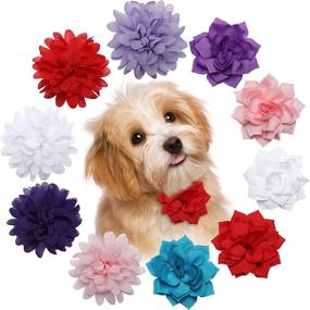 img 4 attached to 🌸 Vibrant 10-Piece Multicolored Dog Collar Flower Set: Stylish Pet Flower Bow Ties & Charms for Puppy Collars, Cat Grooming Accessories