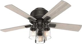 img 2 attached to 🔦 Hunter Hartland Low Profile Ceiling Fan in Noble Bronze - 44" with LED Lights and Pull Chain
