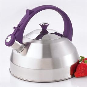 img 2 attached to Creative Home Steppes 2.8 Qt Stainless Steel Whistling Teakettle 🍵 - Purple Coated Handle and Aluminum Capsulated Bottom - Brushed Finish Body