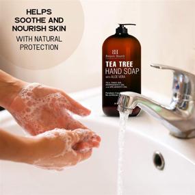 img 3 attached to 🌿 Botanic Hearth Tea Tree Liquid Hand Soap - Sulfate Free Formula with Aloe Vera and Therapeutic Grade Tea Tree Oil - 16 fl oz Pump Dispenser