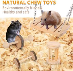 img 2 attached to 🐹 Dasior 16Pcs Hamster Chew Toys: Natural Teeth Care Molar Set for Guinea Pig, Rat & Small Animals
