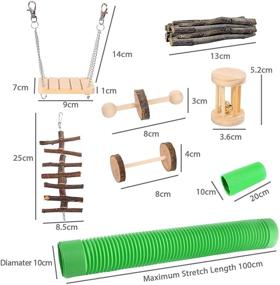 img 3 attached to 🐹 Dasior 16Pcs Hamster Chew Toys: Natural Teeth Care Molar Set for Guinea Pig, Rat & Small Animals