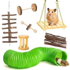 img 4 attached to 🐹 Dasior 16Pcs Hamster Chew Toys: Natural Teeth Care Molar Set for Guinea Pig, Rat & Small Animals