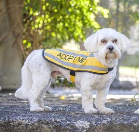 img 2 attached to Warm and Waterproof Dog Coats: Dexil Limited Adopt ME Yellow Coats in Various Sizes - Help a Local Charity!