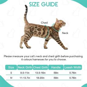 img 3 attached to 🐈 PUPTECK Adjustable Escape Proof Cat Harness and Leash Set - Ideal Vest for Kitten & Small Medium Cats, Retractable Breathable Soft Mesh Design for Outdoor Adventures with Reflective Strips