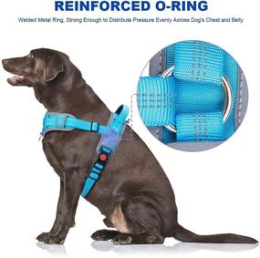 img 1 attached to ThinkPet No Pull Breathable Sport Harness - Escape Proof & Quick Fit Reflective Padded Dog Safety Vest with Handle Back & Front Clips, Easy for Walking