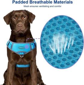 img 2 attached to ThinkPet No Pull Breathable Sport Harness - Escape Proof & Quick Fit Reflective Padded Dog Safety Vest with Handle Back & Front Clips, Easy for Walking