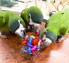 img 2 attached to Birds LOVE Binkies Playgym Pacifiers