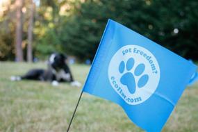 img 3 attached to 🚩 Educator FLAGS-50: Premium Boundary Flags for E-Fence Underground Dog Containment System – Set of 50
