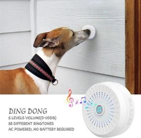 img 3 attached to CATOOP Wireless Dog Doorbell - Touch Dog Bells for Potty Training, IP55 Waterproof, Receiver and Transmitter Included
