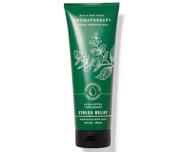 🛀 bath & body works aromatherapy eucalyptus spearmint body wash - hydrating formula - 10 fl oz / 296 ml logo