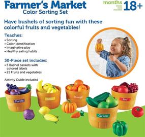 img 2 attached to Enhance Sorting Skills with Learning Resources Farmers Market Sorting Activity