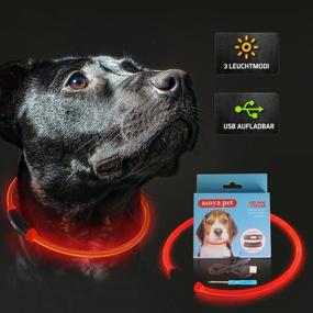 img 3 attached to Collar Rechargeable Glowing Safety Fashion Dogs