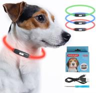 collar rechargeable glowing safety fashion dogs logo