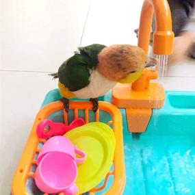 img 2 attached to 🐦 Automatic Pet Parrot Bathtub - 19PCS with Faucet, Electric Dishwasher, and Playing Toy - Bird Bathing Box, Feeder, and Bathroom Toys