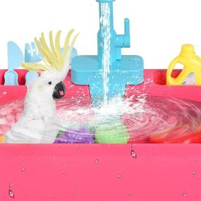 img 1 attached to 🐦 Automatic Pet Parrot Bathtub - 19PCS with Faucet, Electric Dishwasher, and Playing Toy - Bird Bathing Box, Feeder, and Bathroom Toys