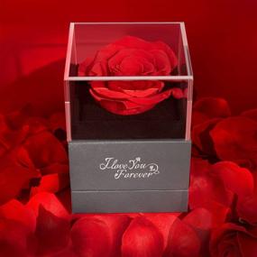 img 1 attached to 🌹 Enchanting Preserved Red Real Rose with I Love You Necklace: Perfect Gifts for Mom, Wife, Girlfriend on Christmas, Valentine's Day, Anniversary, and More!