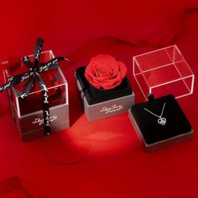 img 3 attached to 🌹 Enchanting Preserved Red Real Rose with I Love You Necklace: Perfect Gifts for Mom, Wife, Girlfriend on Christmas, Valentine's Day, Anniversary, and More!
