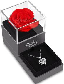 img 4 attached to 🌹 Enchanting Preserved Red Real Rose with I Love You Necklace: Perfect Gifts for Mom, Wife, Girlfriend on Christmas, Valentine's Day, Anniversary, and More!