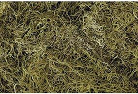 img 1 attached to 🌿 Premium 1 lb Bag of Dyed and Preserved Light Green Faux Spanish Moss by Shinoda Design Center for Enhanced SEO