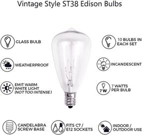 img 3 attached to 💡 Enhance Your Outdoor Lighting with Dr BeTree 10 Pack Replacement Edison Bulbs