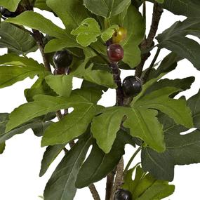 img 2 attached to 🌳 32-Inch Multi-Color Fig Tree - Nearly Natural 5440