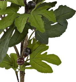 img 1 attached to 🌳 32-Inch Multi-Color Fig Tree - Nearly Natural 5440