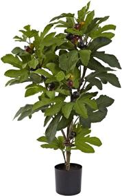 img 3 attached to 🌳 32-Inch Multi-Color Fig Tree - Nearly Natural 5440