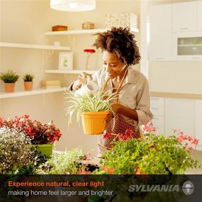 img 2 attached to 💡 Sylvania Double Halogen Equivalent Efficient - Unleashing the Power of Twice the Light