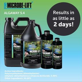 img 2 attached to 🌿 Microbe-Lift Algaway 5.4, 1 gallon - Varying Color Bottle
