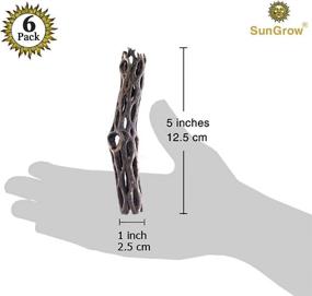 img 1 attached to 🪵 SunGrow Cholla Wood: 5 Inch Long Aquarium Decoration, Chew Toys for Small Pets & Artistic Home Decor - 6-Pcs Long Lasting Driftwood