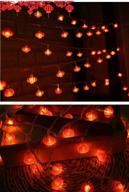 🏮 2021 chinese new year party lantern string lights: battery operated fairy string lights for spring festival decoration and the lantern festival - 20ft 40 led red lanterns логотип