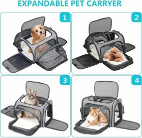 img 1 attached to Airline Approved Dog Cat Carrier