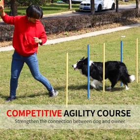 img 1 attached to 🐶 Yiotl 30 Piece Dog Agility Equipment Set: Outdoor Training Course Kit with Frisbee, Pause Box, Tunnels, Hurdles, Poles, Whistle, Carrying Bag