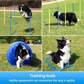 img 3 attached to 🐶 Yiotl 30 Piece Dog Agility Equipment Set: Outdoor Training Course Kit with Frisbee, Pause Box, Tunnels, Hurdles, Poles, Whistle, Carrying Bag