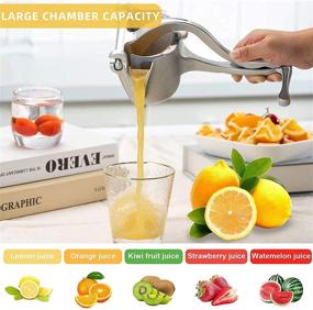 img 3 attached to 🍋 Detachable Lemon Squeezer: Heavy Duty Hand Press for Fresh Orange Juice, Pomegranates, Lemons - Efficient Juicer