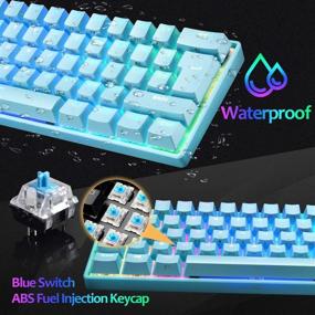 img 1 attached to 🎮 Mini Portable Mechanical Gaming Keyboard with Rainbow RGB Backlit, Full Anti-Ghosting, 61 Keys, Ergonomic Metal Plate, Wired Type-C USB, Waterproof for Typist, Laptop, PC, Mac, Gamer (Blue/Blue Switch)