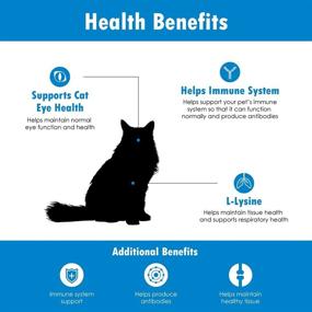 img 1 attached to Enhance Your Cat's Respiratory Health with Felisyl Immune System 😺 Support Gel - L-Lysine Supplement, Made in the USA - 5 oz