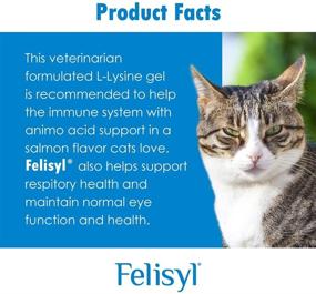 img 3 attached to Enhance Your Cat's Respiratory Health with Felisyl Immune System 😺 Support Gel - L-Lysine Supplement, Made in the USA - 5 oz