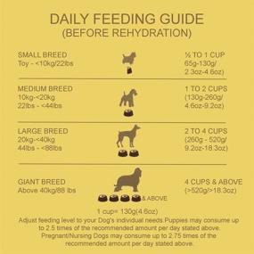 img 1 attached to 🐶 Nutritious Grain-Free Dehydrated Dog Food: Addiction Steakhouse Beef & Zucchini, 8 Lb.