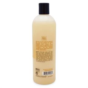 img 3 attached to 🍊 BoaVida Deodorizing Citrus Plus Elder Shampoo and Body Wash with Leak-Proof Cap - Persimmon Soap to Eliminate Nonenal and Remove Old Person Smell, 16 oz