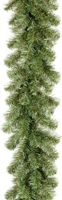 img 2 attached to 9 Feet National Tree Company Artificial Christmas Garland, Kincaid Spruce, Green - Christmas Collection
