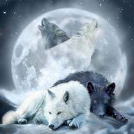 🐺 jungobiu 5d diamond painting kits wolf moon - diy diamond art animal kits | full round drill crystal rhinestone embroidery | home office wall decoration 14x14inch (35x35cm) логотип