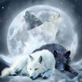 img 4 attached to 🐺 Jungobiu 5D Diamond Painting Kits Wolf Moon - DIY Diamond Art Animal Kits | Full Round Drill Crystal Rhinestone Embroidery | Home Office Wall Decoration 14x14Inch (35x35cm)