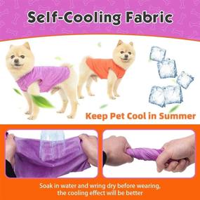 img 1 attached to 🐾 Stay Cool in Summer: Dog Cooling Shirt 2 Packs - Self Cooling, Breathable, and Fast-Drying Vest for Small Medium Dogs Cats Puppy