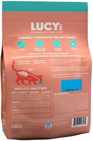 img 2 attached to 🐟 Lucy Pet Products Formulas for Life - Sensitive Stomach & Skin Dry Cat Food: Salmon, Pumpkin, & Quinoa - 4 LB Bag, All Breeds & Life Stages