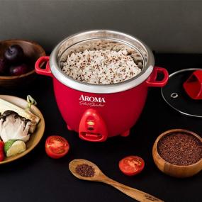 Aroma stainless steel online rice cooker