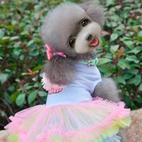 img 1 attached to Irresistible Ollypet Cute Tutu Dresses: Adorable Cupcake Apparel for Small Dogs, Cats & Puppies